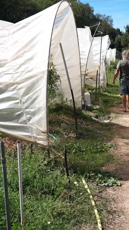 "Je ne vois pas en quoi ça peut aider à passer cette crise" : l'aide d'1 milliard d'euros aux agriculteurs jugée insuffisante