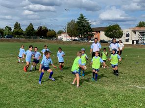 Rugby. L'effet coupe du monde sur les clubs de Haute-Vienne