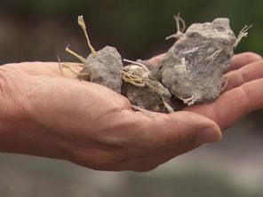 Ces graviers sont issus du concassage de béton contenant des fibres de polypropylène : dans cette commune de Savoie, ils se retrouvent à plusieurs endroits.