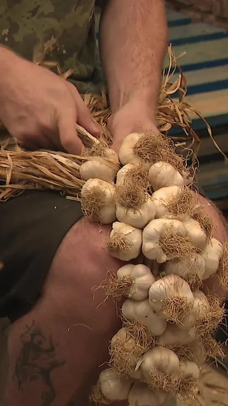 VIDÉO. À Arleux, le savoir-faire ancestral de l’ail fumé se transmet de génération en génération