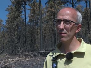 Pierre Demangeat, directeur de l'Office national des forêts Drôme-Ardèche explique la procédure à suivre sur les trois prochaines années pour accompagner la forêt à se régénérer. 