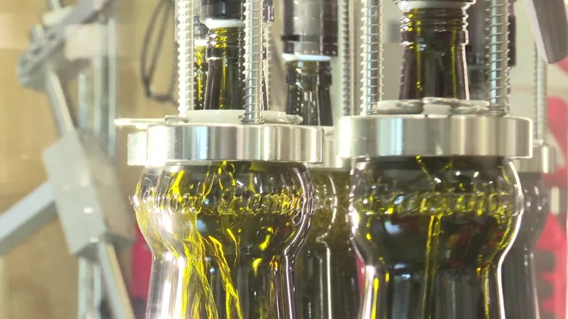Imperia, Italie : mise en bouteille de huile d'olive au pressoir familial Sant' Agata. 