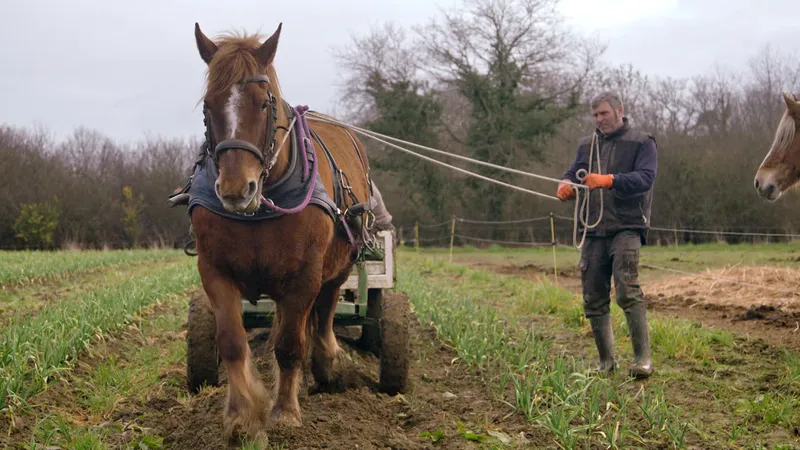 Stéphane Galais, éleveur et secrétaire national à la confédération paysanne