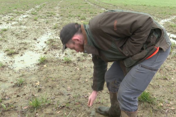 "Vous voyez comment je m'enfonce ? Imaginez 60 vaches laitières"