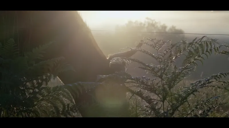 Les Bretonnes Pie Noir sont nourries toute l’année à l’herbe et au foin