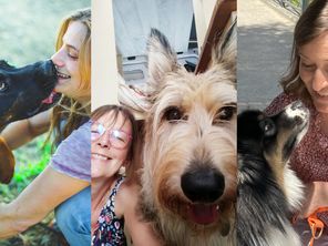 Un chien, c'est un engagement énorme. Il faut donc mûrir longuement sa réflexion
pour profiter au mieux de tout ce qu'il pourra vous apporter : tendresse, joie, complicité, sérénité, amusement. Voici quelques conseils pour le choisir et vous jurer fidélité.