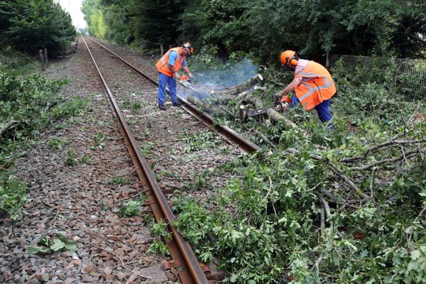 Dans la nuit du 25 au 26 août 2024, plusieurs arbres sont tombés sur des caténaires SNCF entre Savenay et Saint-Nazaire, photo d'illustration
