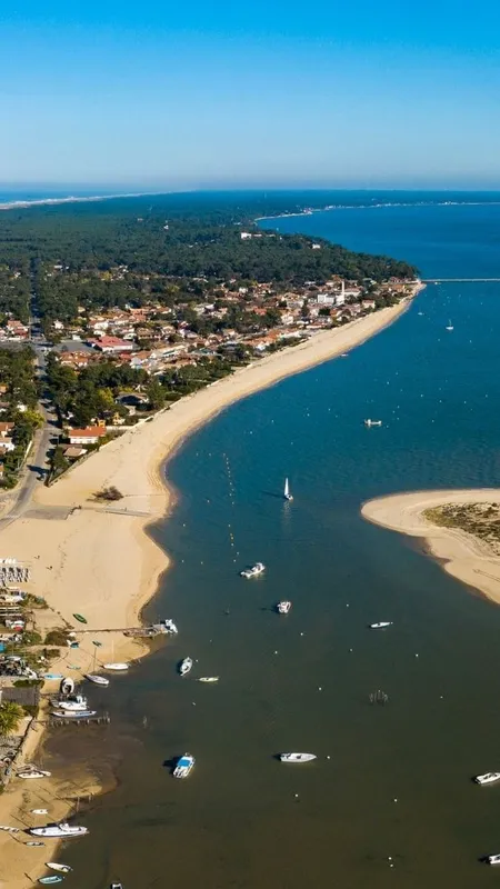 VIDÉO. "Un marché totalement déconnecté de la réalité" : au Cap Ferret, des maisons menacées par l'océan se vendent toujours à des prix records