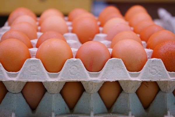 Le prix de la boîte de six oeufs pourrait augmenter de plusieurs centimes d'euros.