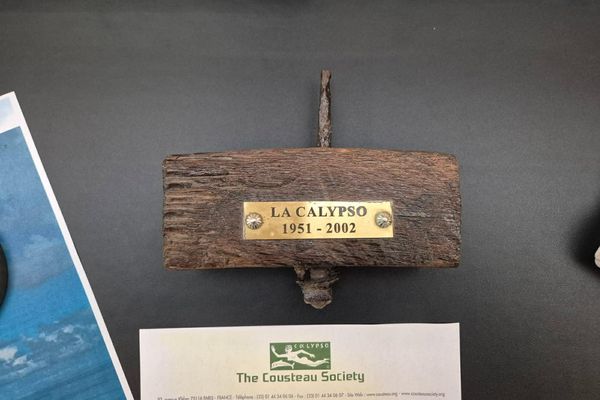 Un petit morceau de bois donné au pot de départ de Jean-Michel Abar en 2002.