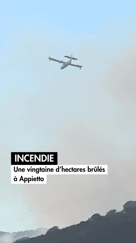 VIDÉO. Incendie : une vingtaine d'hectares brûlés à Appietto