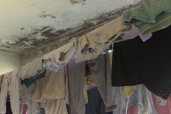 Une image de l'appartement de la famille Saadi, envahie par les moisissures et l'humidité. 