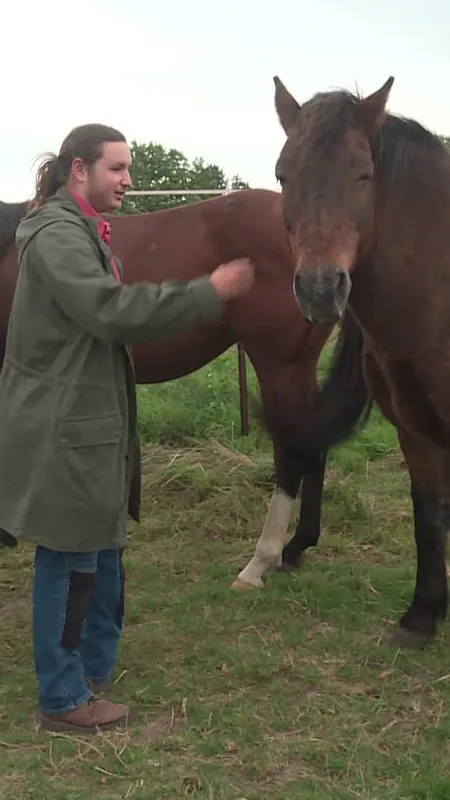 VIDÉO. Ils ont sauvé plus de 300 chevaux, aujourd’hui, c’est leur association qui est en danger