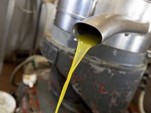 La Cour des comptes européenne déplore dans un rapport publié mercredi les contrôles "inexistants" ou "sporadiques" sur la présence de pesticides dans les importations d'huile d'olive, notamment en provenance de Tunisie.