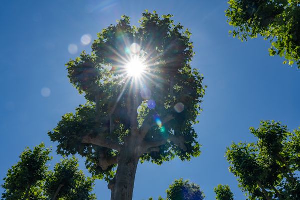 Le thermomètre va grimper entre 32 à 36°C ce dimanche 29 juin