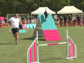 Ce concours d'agility remporte de plus en plus de succès en Auvergne.