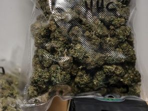 Les douaniers ont saisi près de 215 kilos de cannabis dans les Alpes-Maritimes en juin dernier.