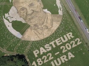 Un "land art" géant de Louis Pasteur dans la commune d'Arbois, lors de la 8e étape du Tour de France.