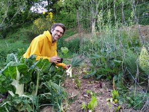 En mai, on peut procéder aux premières récoltes d'oignons cébettes et de blettes.