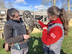 Les oiseaux de Château-Thierry bénéficient de soins ostéopathiques, une pratique rare en France.