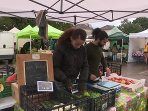 Après un été ensoleillé, le retour de la pluie n'est pas forcément une mauvaise nouvelle… le 7 septembre 2024, en Haute-Vienne.