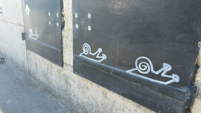 Qu'ils soient solitaires ou plus nombreux, plus grands ou plus petits, il n'y a pas de règles. La seule est d'être de plus en plus nombreux !