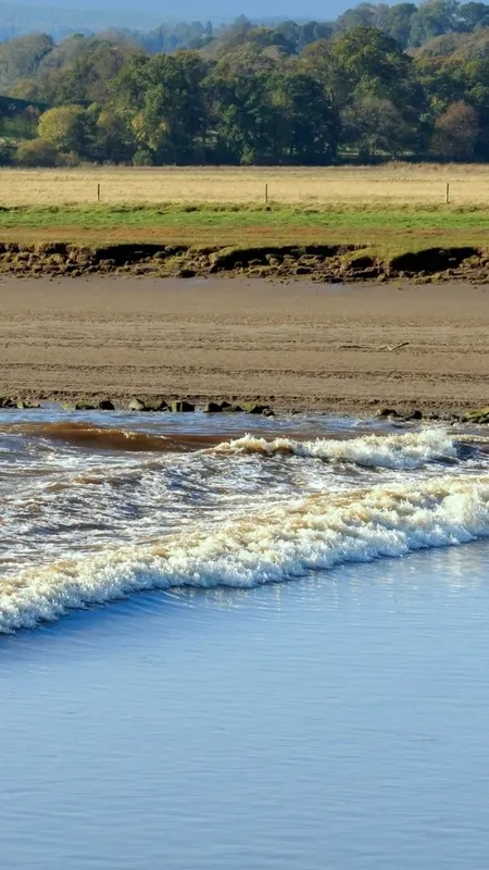 VIDÉO. C'est quoi le mascaret ? Explication du phénomène, dates et meilleurs spots pour voir ces vagues spectaculaires sur la Garonne et la Dordogne