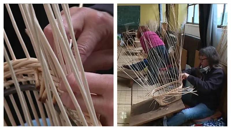 A l'école de l'apprentissage, les futurs maîtres vanniers de Fayl-Billot (52).
