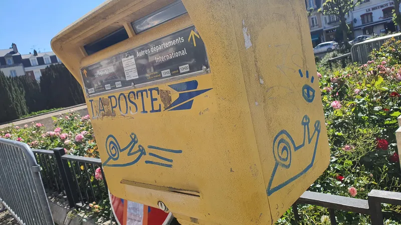 Les fameux escargots ont élu domicile sur les boîtes aux lettres, les murs, mais aussi, les vide-ordures communaux.