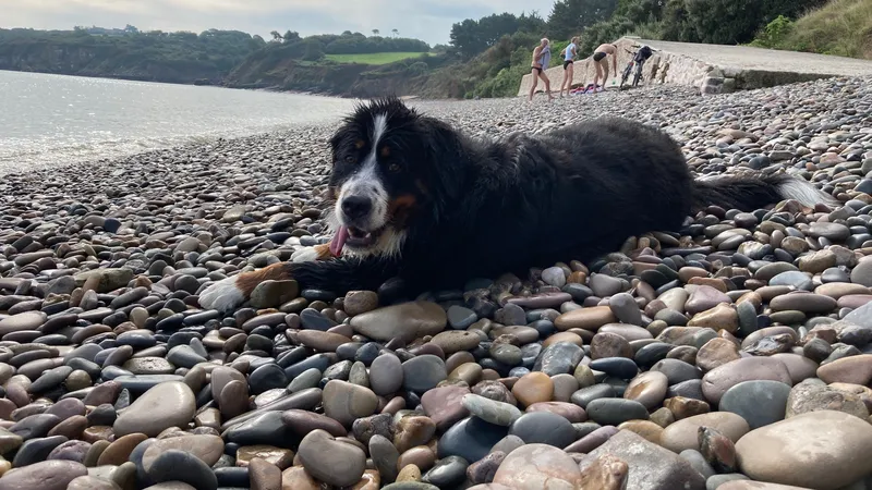 C'est le long de criques quasi désertes qu'Eole peut profiter de la plage sous la surveillance de ses maîtres.