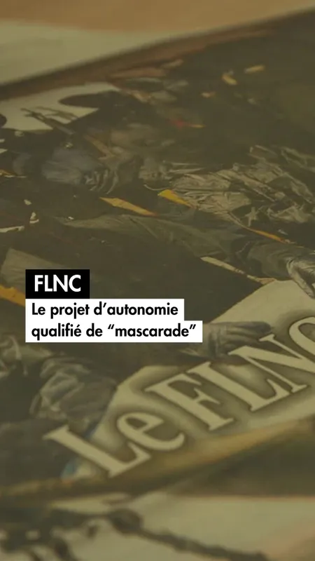 VIDÉO. FLNC : Le projet d'autonomie qualifié de "mascarade"
