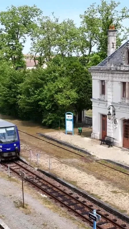 Le Blanc-Argent : la ligne ferroviaire historique qui fait vivre la Sologne et le Berry