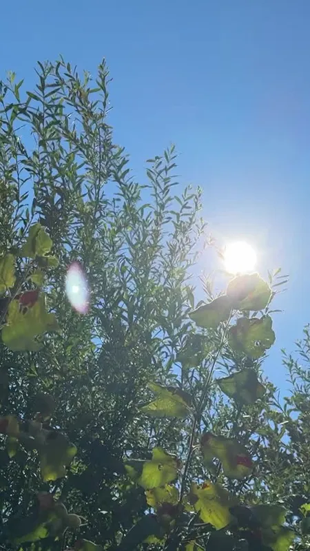 Canicule : la mortalité en très forte hausse en Creuse
