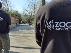 Les salariés du zoo d'Amnéville travaillent par roulement depuis le début du confinement.