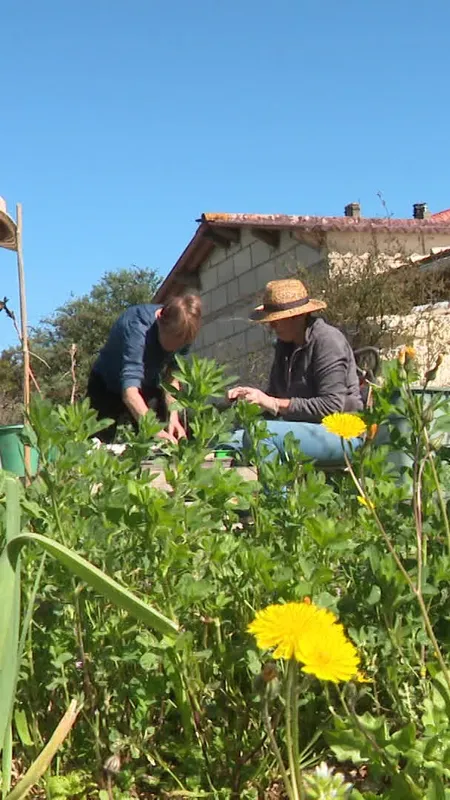 VIDÉO. "99 ans" de protection pour un jardin urbain et une forêt comestible en centre-ville
