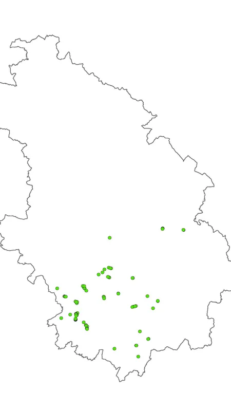 La moitié sud du département de la Haute-Marne est concernée par l'abattage de ces 120 arbres malades.
