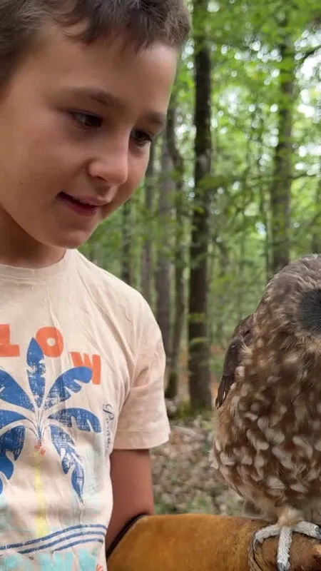 Chouettes, hiboux et biodiversité : immersion au plus près de rapaces fascinants pour comprendre secrets, fragilité et rôle essentiel pour notre biodiversité locale française