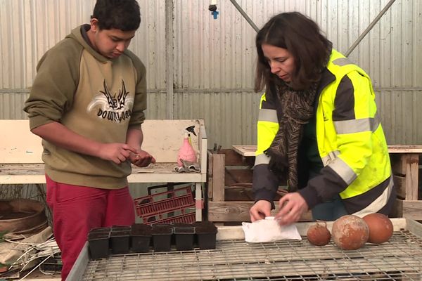 Le dispositif argent de poche permet aux jeunes de découvrir les métiers des agents municipaux pendant une semaine.