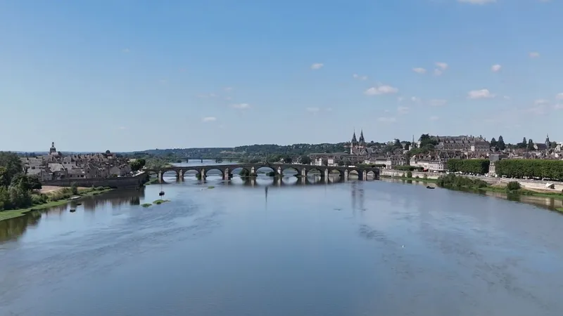Blois, son château, ses maisons à pans de bois, ses hôtels particuliers de la Renaissance, son patrimoine industriel avec l'ancienne chocolaterie Poulain, et son patrimoine ligérien, valorisé par l’inscription du Val de Loire au patrimoine mondial.