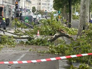 Un orage bref mais intense a traversé la métropole lyonnaise, ce vendredi 28 août.