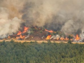 250 hectares sont partis en fumée sur la commune de Prévenchères (Lozère), sur place huit Canadair sont mobilisés. - 19 août 2026.