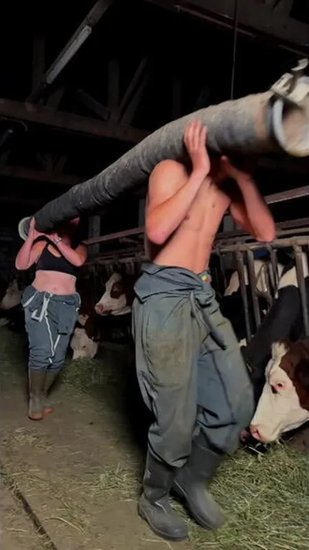"On fait de l'Hyrox au quotidien" : des agriculteurs dépoussièrent l'image des travaux à la ferme et font le buzz