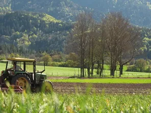 Le Trièves, dans le Sud de l'Isère, connaît une forte dynamique agricole avec aujourd'hui plus de 200 fermes.