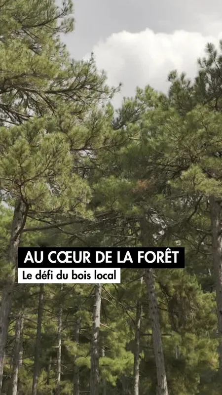VIDÉO. Au cœur de la forêt - Lé défi du bois local